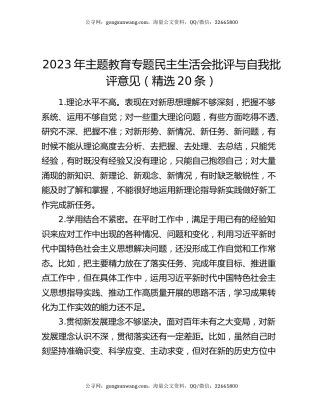2023年主题教育专题民主生活会批评与自我批评意见（精选20条）