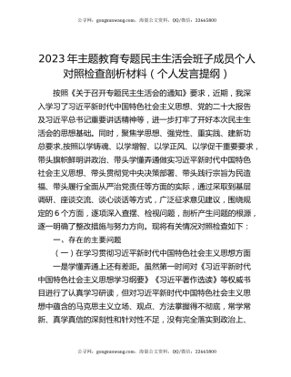 2023年主题教育专题民主生活会班子成员个人对照检查剖析材料（个人发言提纲）