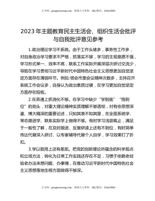 2023年主题教育民主生活会、组织生活会批评与自我批评意见参考