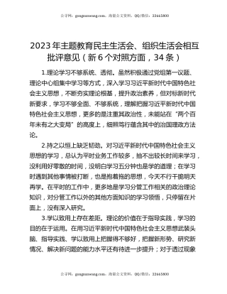 2023年主题教育民主生活会、组织生活会相互批评意见（新6个对照方面，34条）