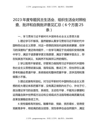 2023年度专题民主生活会、组织生活会对照检查、批评和自我批评意见汇总（6个方面25条）