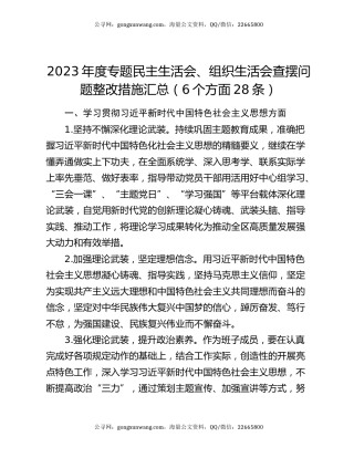 2023年度专题民主生活会、组织生活会查摆问题整改措施汇总（6个方面28条）