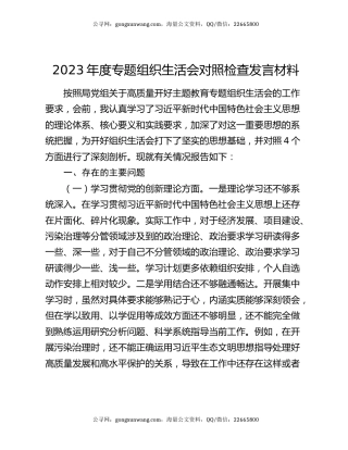 2023年度专题组织生活会对照检查发言材料