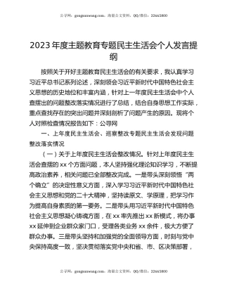 2023年度主题教育专题民主生活会个人发言提纲