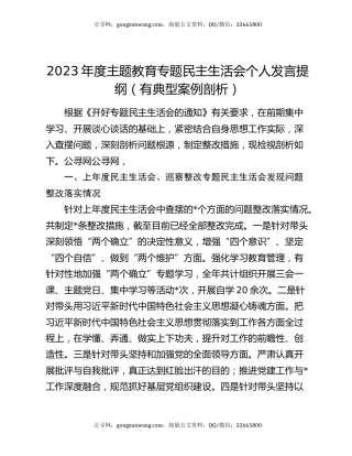 2023年度主题教育专题民主生活会个人发言提纲（有典型案例剖析）