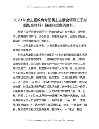 2023年度主题教育专题民主生活会领导班子对照检查材料（包括典型案例剖析）