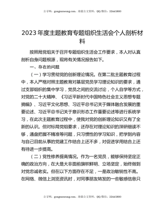 2023年度主题教育专题组织生活会个人剖析材料