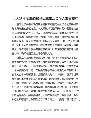 2023年度主题教育民主生活会个人发言提纲