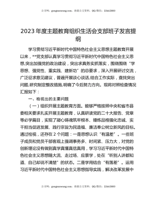 2023年度主题教育组织生活会支部班子发言提纲