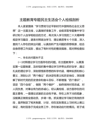 主题教育专题民主生活会个人检视剖析
