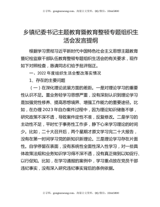 乡镇纪委书记主题教育暨教育整顿专题组织生活会发言提纲