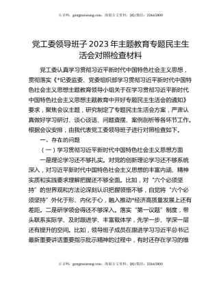 党工委领导班子2023年主题教育专题民主生活会对照检查材料