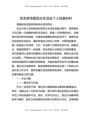 党支部专题民主生活会个人检查材料