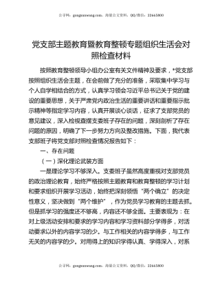 党支部主题教育暨教育整顿专题组织生活会对照检查材料