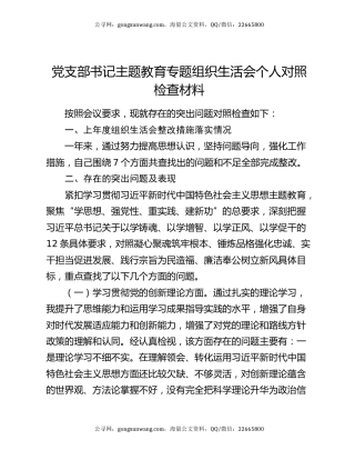 党支部书记主题教育专题组织生活会个人对照检查材料