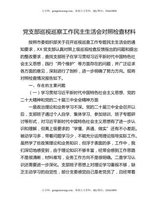 党支部巡视巡察工作民主生活会对照检查材料