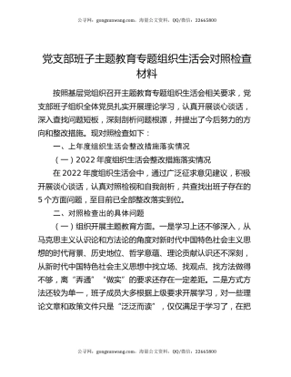 党支部班子主题教育专题组织生活会对照检查材料