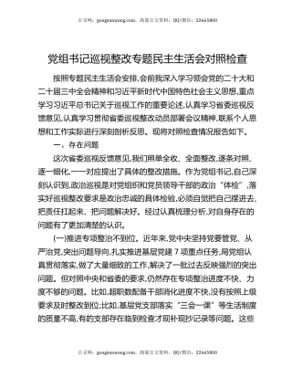 党组书记巡视整改专题民主生活会对照检查