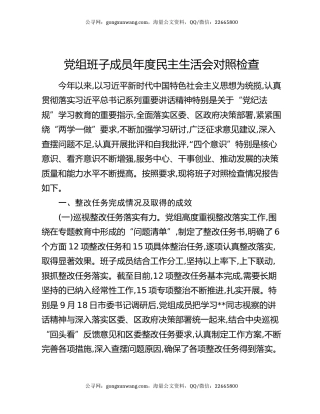 党组班子成员年度民主生活会对照检查