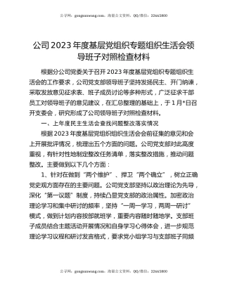 公司2023年度基层党组织专题组织生活会领导班子对照检查材料