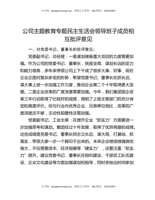 公司主题教育专题民主生活会领导班子成员相互批评意见