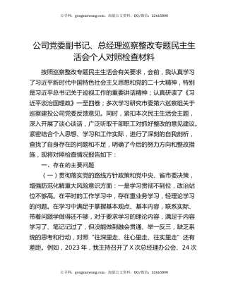 公司党委副书记、总经理巡察整改专题民主生活会个人对照检查材料