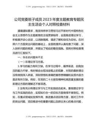 公司党委班子成员2023年度主题教育专题民主生活会个人对照检查材料