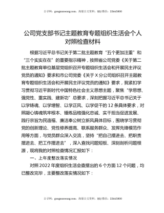 公司党支部书记主题教育专题组织生活会个人对照检查材料