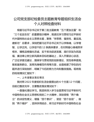 公司党支部纪检委员主题教育专题组织生活会个人对照检查材料