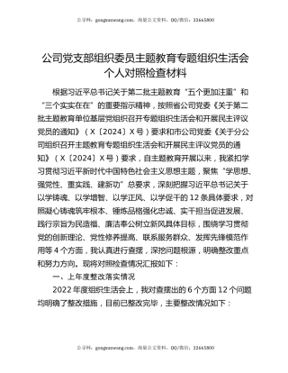 公司党支部组织委员主题教育专题组织生活会个人对照检查材料