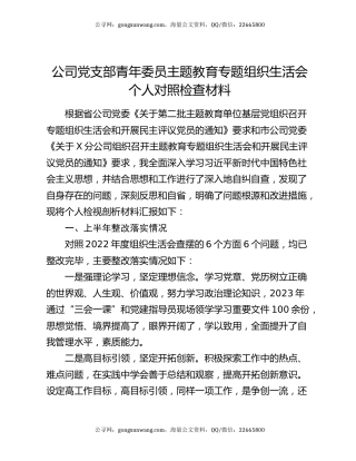公司党支部青年委员主题教育专题组织生活会个人对照检查材料