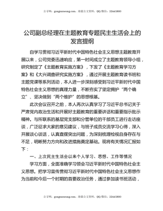 公司副总经理在主题教育专题民主生活会上的发言提纲