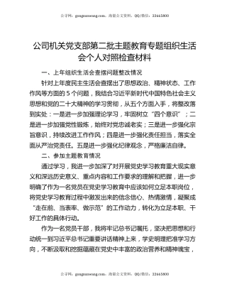公司机关党支部第二批主题教育专题组织生活会个人对照检查材料