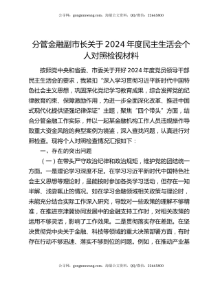 分管金融副市长关于2024年度民主生活会个人对照检视材料