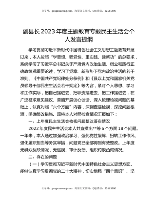 副县长2023年度主题教育专题民主生活会个人发言提纲