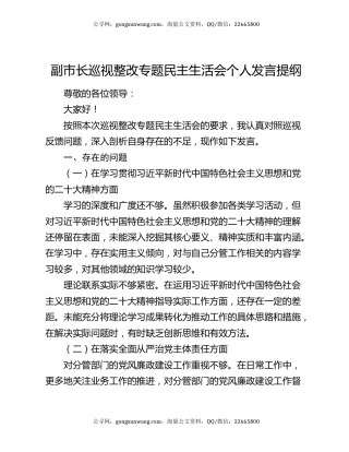 副市长巡视整改专题民主生活会个人发言提纲