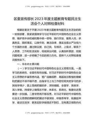区委宣传部长2023年度主题教育专题民主生活会个人对照检查材料