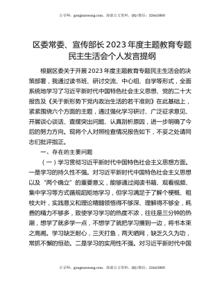 区委常委、宣传部长2023年度主题教育专题民主生活会个人发言提纲