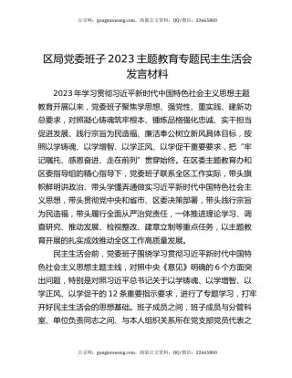 区局党委班子2023主题教育专题民主生活会发言材料