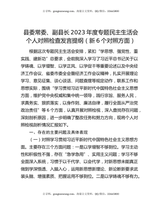 县委常委、副县长2023年度专题民主生活会个人对照检查发言提纲（新6个对照方面）