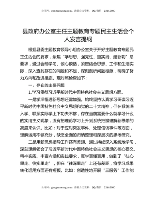 县政府办公室主任主题教育专题民主生活会个人发言提纲
