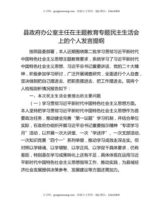 县政府办公室主任在主题教育专题民主生活会上的个人发言提纲