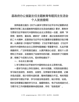 县政府办公室副主任主题教育专题民主生活会个人发言提纲