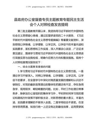 县政府办公室督查专员主题教育专题民主生活会个人对照检查发言提纲