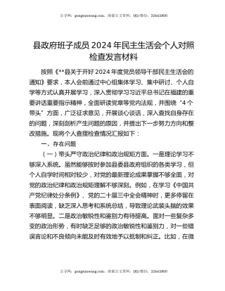 县政府班子成员2024年民主生活会个人对照检查发言材料