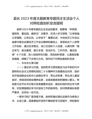 县长2023年度主题教育专题民主生活会个人对照检查剖析发言提纲