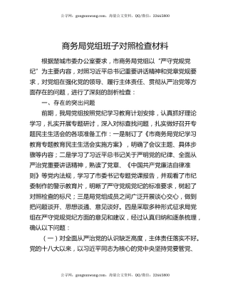 商务局党组班子对照检查材料