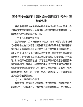 国企党支部班子主题教育专题组织生活会对照检查材料