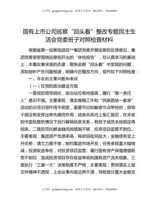 国有上市公司巡察“回头看”整改专题民主生活会党委班子对照检查材料