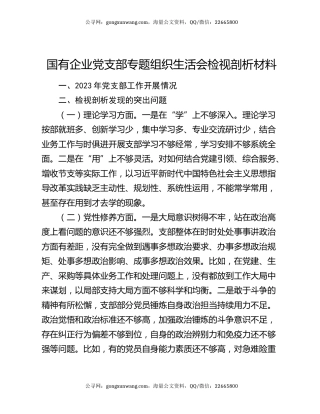 国有企业党支部专题组织生活会检视剖析材料